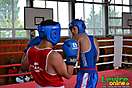 Box - 4. kolo ligy UBCS, Levice, 14.9.2013