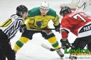 HK Levice - HK Iskra Partizánske, 10. kolo, 19.11.2011