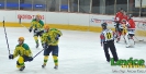 HK Levice - Iskra Partizánske, 10. kolo, 19.11.2011