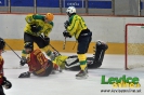 HK Levice - HC Topoľčany