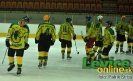 HK Levice - HC Topoľčany, prípravný hokejový zápas, 26.8.2011