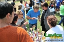 Štafetový beh o putovný pohár primátora mesta Levice, 14.6.2012