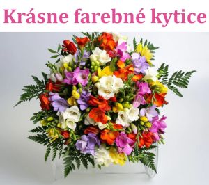 Kvetyprevas.sk - krásne kvety a kytice pre každú príležitosť