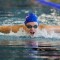 Plavci ŠK Aquasport na Majstrovstvách SR juniorov a seniorov so ziskom deviatych medailí